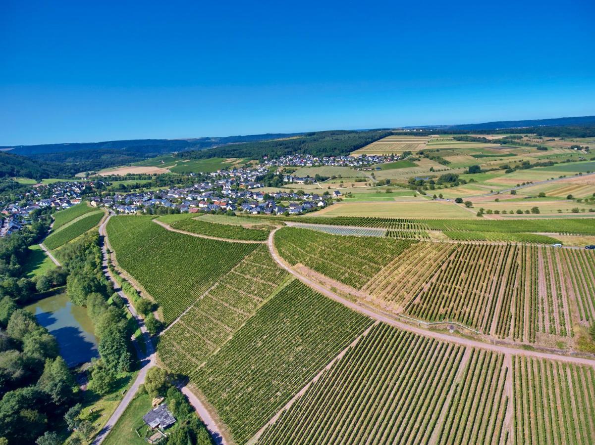 Oberemmel Ferienweingut Willems מראה חיצוני תמונה