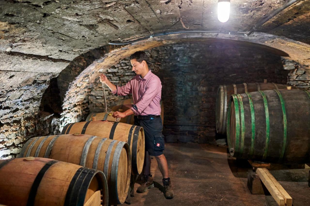 Oberemmel Ferienweingut Willems מראה חיצוני תמונה