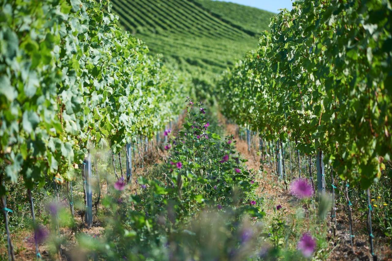 Oberemmel Ferienweingut Willems מראה חיצוני תמונה